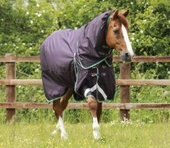 Buster 200g Turnout Rug with Neck Cover