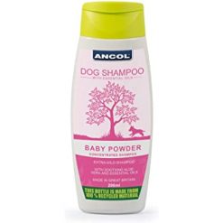 baby powder shampoo