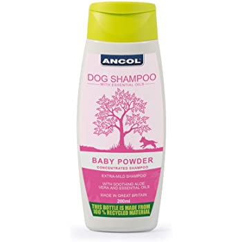 baby powder shampoo