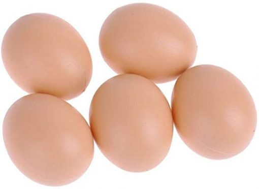 plastic chicken eggs