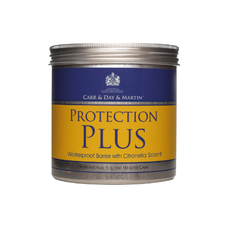 Protection Plus